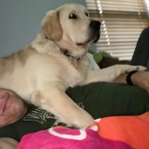 Meet your Posher, Anne